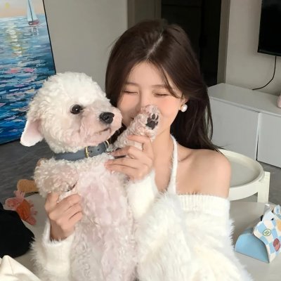 虹猫蓝兔勇者归来